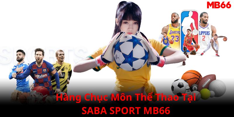 Hàng chục môn thể thao nổi tiếng đều có mặt tại sảnh SABA SPORT MB66